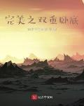 完美之雙重臥底